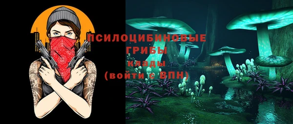 spice Абаза